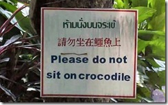 wtf-warning-sign-sit-crocodile