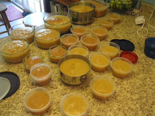 [IMG_2963%255B2%255D.jpg]