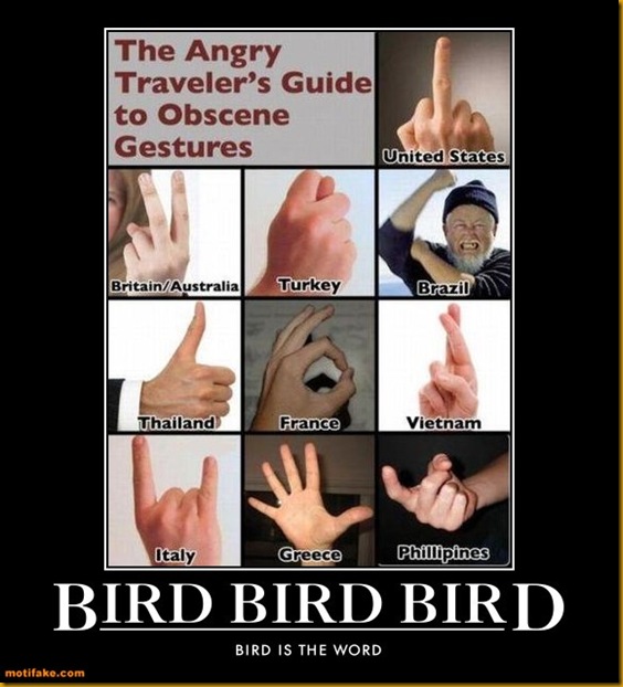 bird-bird-bird-giving-the-finger-demotivational-posters-1295452302