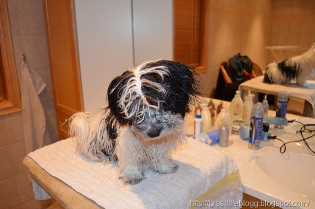 [DSC_0014%255B6%255D.jpg]