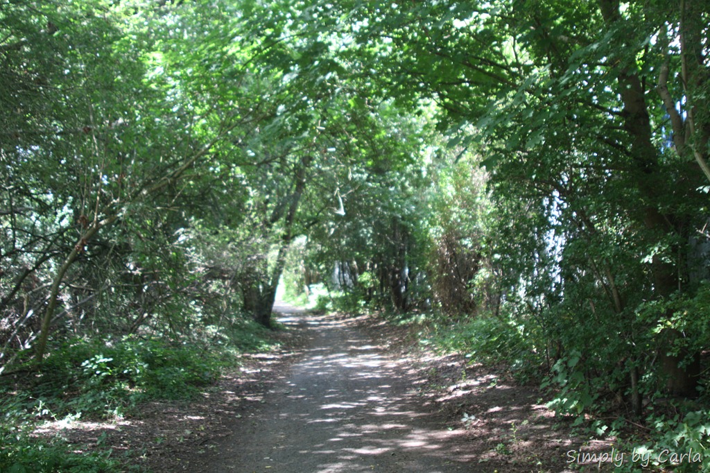 [IMG_4537%255B8%255D.jpg]