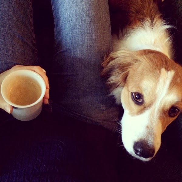 dog and nespresso coffee