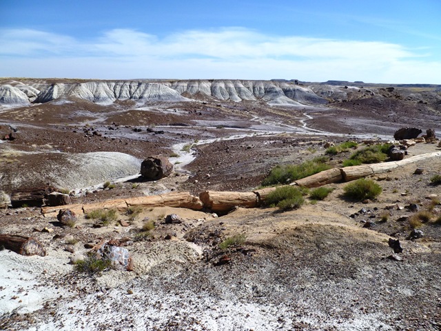 [P1060081%255B3%255D.jpg]