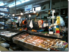 IMG_0515 IMG_0515