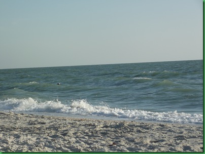 Beaches near Koreshan 032