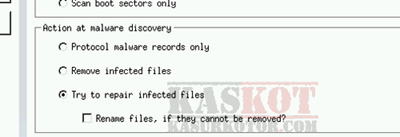 Try to repair infected files Try to repair infected files