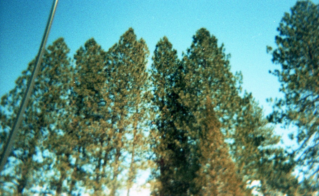 [img290%255B2%255D.jpg]