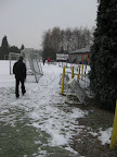 start to run 2010: Foto