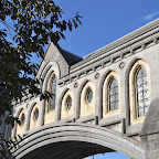 DSC_7390-2.jpg