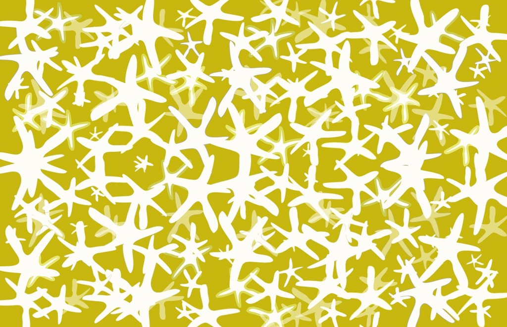 [starfish-white-for-web%255B8%255D.jpg]
