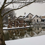 IMG_9567.jpg