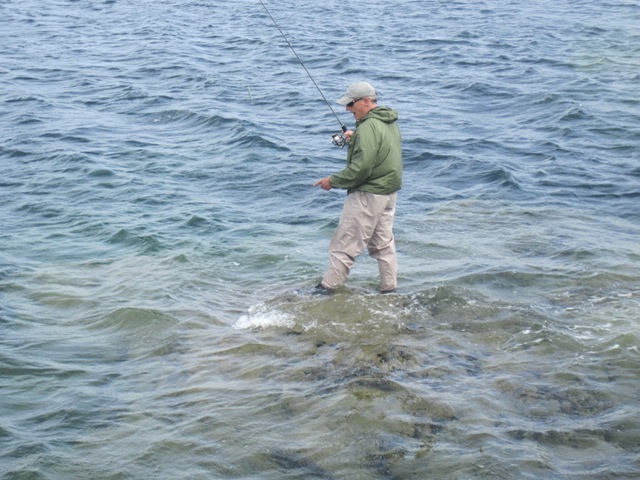 [IMG_0730%255B1%255D.jpg]