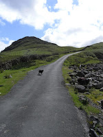 RIMG0177.JPG Photo