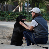 Going to the park and a new car