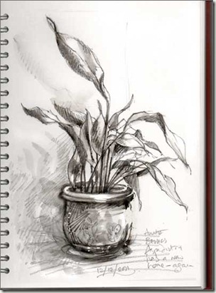 auntie bessie aspidistra bg auntie bessie aspidistra bg