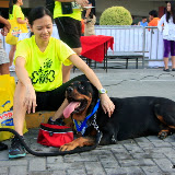 Pet Express Doggie Run 2012 Philippines. Jpg (218).JPG