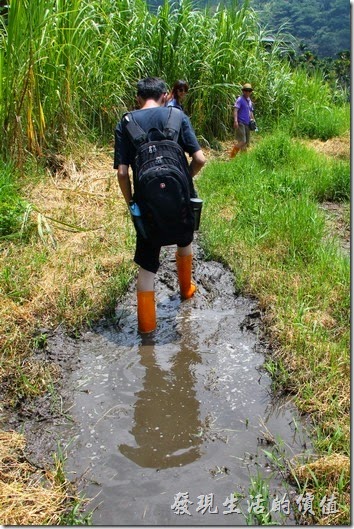 南投頭社活盆地。看到這樣現在泥巴水裏的狀況，知道為何要穿長筒雨鞋了吧！