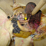 dissect31.jpg