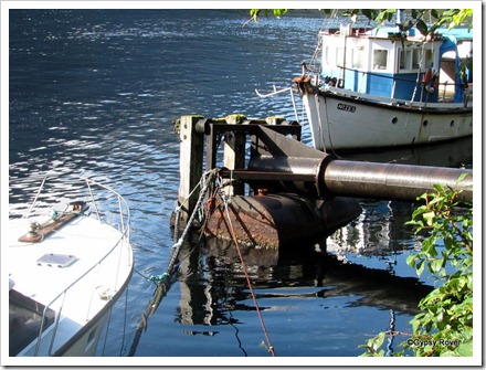 With sheer rock cliffs this is the only means of mooring in Doubtful Sound.