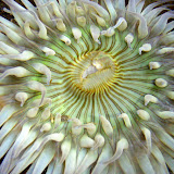 2008-04-12 moss beach