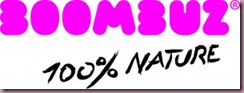 BOOMBUZ_Logo-300x111