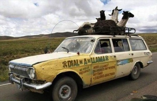 [viral-picdump-pics-35b89f%255B2%255D.jpg]