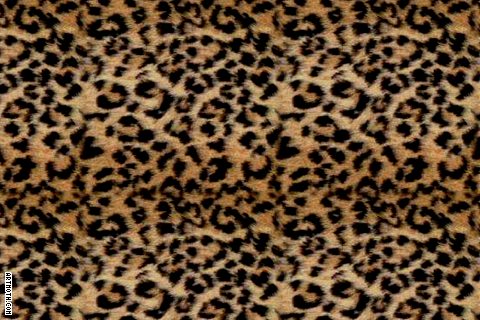 Leopard Print Wallpaper on 514 Realistic Leopard Print Iphone Wallpaper Png