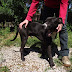 Draco y Kaiser Draco y Kaiser