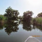 IMG_7807.JPG