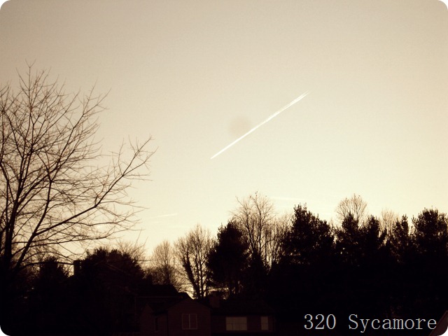 january 2012 073 1