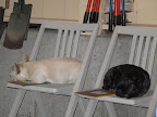 When is this important meeting going to start? We're very anxious.