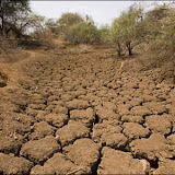 desert_drought-12419.jpg