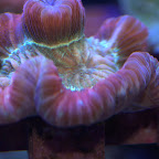 DSC_2095.jpg