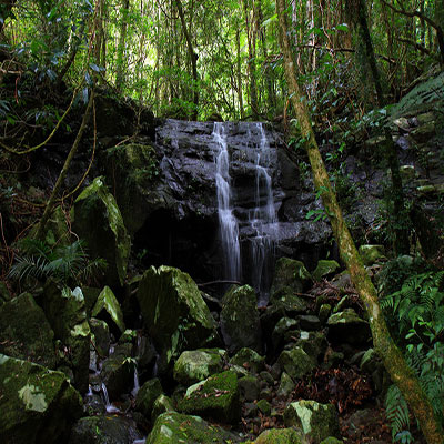 Waterfall, Coomera Circuit