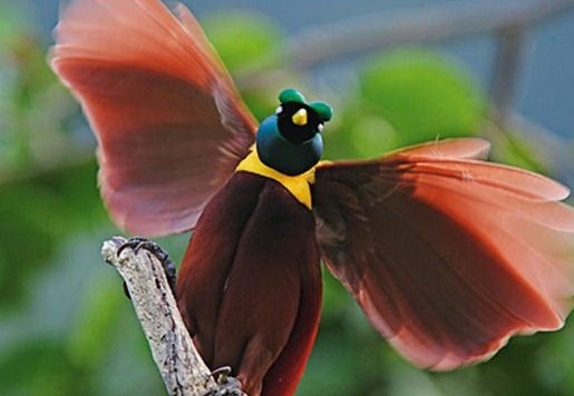 [e74b716efe78cf746a607cd1231_prev_thumb%255B5%255D%255B5%255D.jpg]