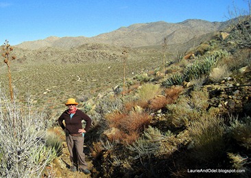 Climbing the Marshall South Trail