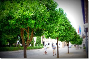 P1080360 P1080360