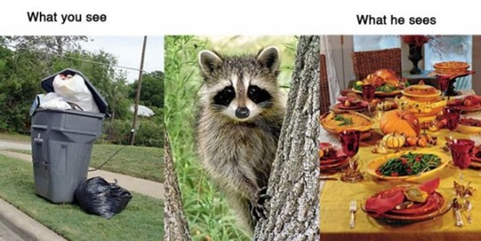[what-you-see-animals-02a9b9%255B2%255D.jpg]