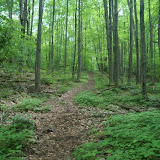 DSC09209.JPG