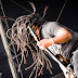 Zuul FX au Hellfest 2011