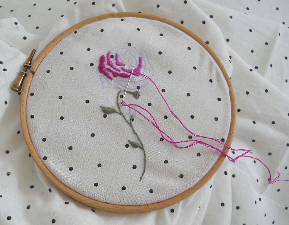 [DSCN0175%255B13%255D.jpg]