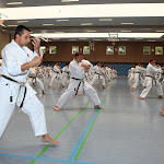 H25D2881.JPG