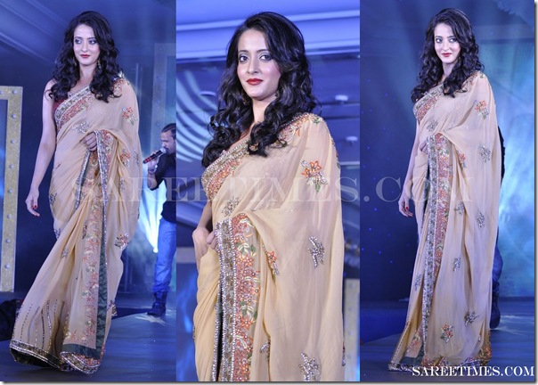 Riya_Sen_Designer_Saree