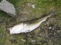 IMG_5686 IMG_5686