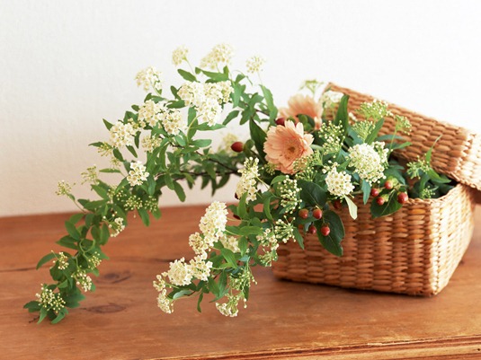 [1600HomeFlower_6004%255B4%255D.jpg]