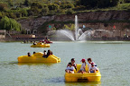 p1245210779(1).jpg