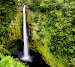 Akaka Falls, nearby our retreat.