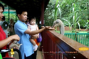 Langkawi Langkawi