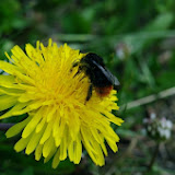 IMGP0997.JPG