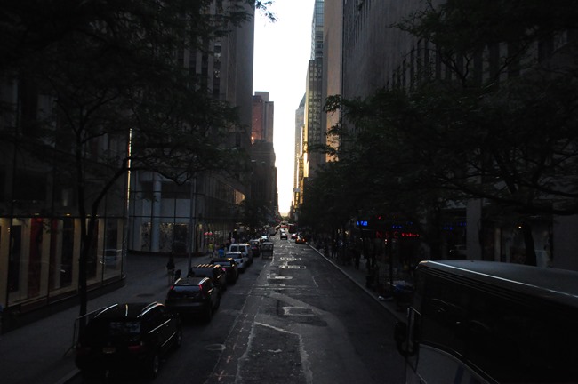 DSC_0939 DSC_0939